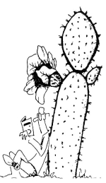 Prickly Pear Pamphlets
